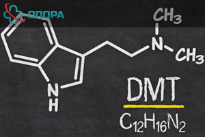 Диметилтриптамин: наркотик дмт в организме – эффект и как употребляют
